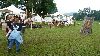 Drachenstich 2010