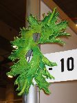 Messebericht Spiel 2003