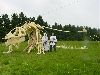 Drachenskelette des Twilight Teams