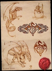 Dragon sketches