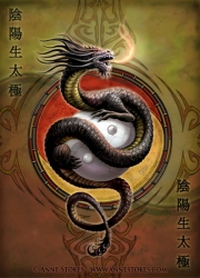 Ying Yang guardian