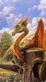 Northeasternfiled Dragon