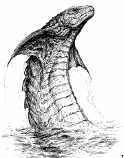 Picture 2 from Book of the Seamonsters