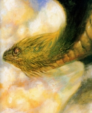 Quetzal coatl