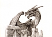 Dragonhenge drawing