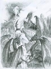 Multi Dragon Sketch