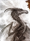 Picture 8 from Dragonhenge