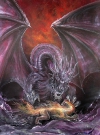 Vulnaris Drache