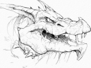 Red Dragon Headsketch