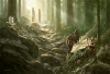 Midnight tides